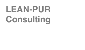 LEAN-PUR Consulting